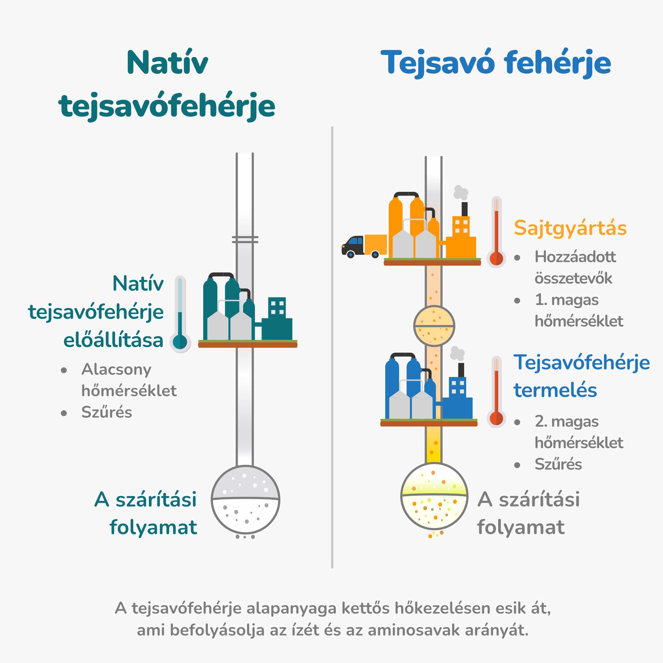 Vyroba proteinu_1_hu